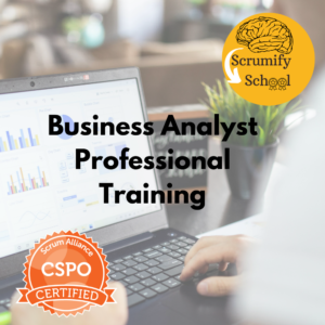 Business Analyst Professional Training